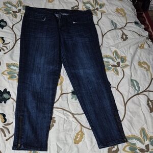 GAP Women's Dark Indigo Skinny Jeans